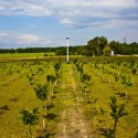 До уваги батьків нашого селища!
