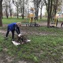 На продовження теми озеленення і чистоти